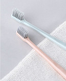 Free Antibacterial toothbrush with Bristle Protection from New York City