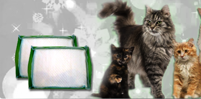 Free Value Cat Pads Нью-Йорк - изображение 1