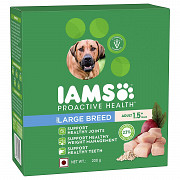 GET A FREE IAMS™ SAMPLE from Jaipur
