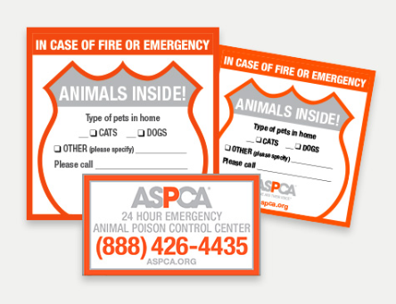Pet Safety Pack Чикаго - изображение 1