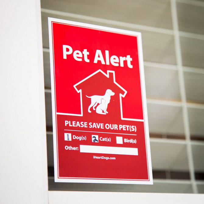 FREE 2 Pack Pet Alert Stickers Джайпур - изображение 1