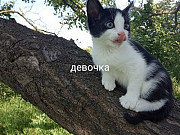 Отдам даром Запоріжжя