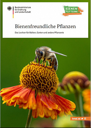 Lexikon über bienenfreundliche Pflanzen Munich - photo 1