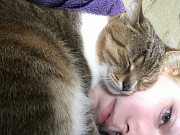 Отдам в хорошие руки Київ