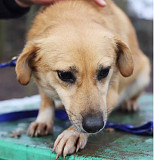 Чарівна та яскрава Нора з м. Київ