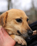 Чарівна та яскрава Нора з м. Київ