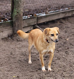 Чарівна та яскрава Нора з м. Київ