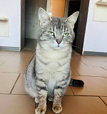 ********* красуня Тая з м. Київ