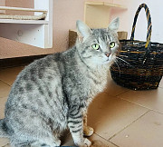 ********* красуня Тая з м. Київ