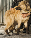 Твоя найкраща подруга Баффі з м. Київ