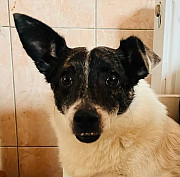 Гарнесенька дівчинка Кнопа з м. Київ