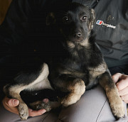 Маленька леді Тасіта з м. Київ