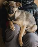 Чарівна квіточка Лорель з м. Київ