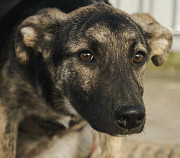 Красуня дівчинка Естер з м. Київ