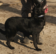 Чарівна леді Барабулька з м. Київ