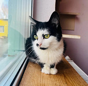 Тендітна красуня Мона-Ліза з м. Київ