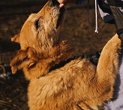 Ніжна та делікатна дівчинка Маруся з м. Київ