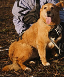 Ніжна та делікатна дівчинка Маруся з м. Київ