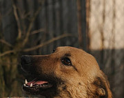 Квіточка Фльор з м. Київ