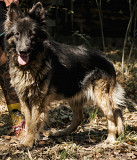 Відмінниця в усьому Теммі з м. Київ