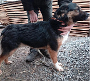 Хлопчик на прізвисько Ексель Київ