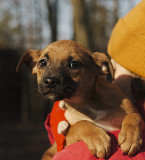 Відважний Удо з м. Київ