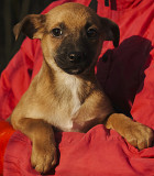 Відважний Удо з м. Київ