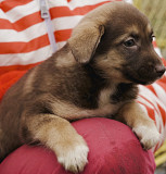 Шанталь - це про любов! з м. Київ