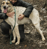 Чудовий скарб Ікло з м. Київ