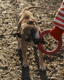 Джерело радості Клара з м. Київ