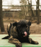 Ваш оберіг Муня з м. Київ