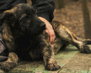 Ваш оберіг Муня з м. Київ
