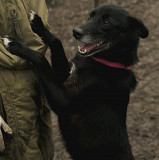 Знайомся - я Філліс, сама грація з м. Київ