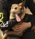 Весела і рухлива Фанні з м. Київ