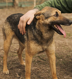 Весела і рухлива Фанні з м. Київ