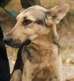 Дослідник і вундеркінд Щічка з м. Київ