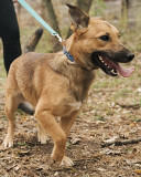 Джус ну майже солодкий сік з м. Київ