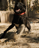 Ейлі з неймовірним поглядом з м. Київ