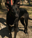 Ейлі з неймовірним поглядом з м. Київ