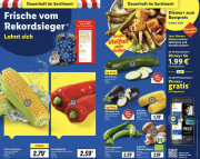 LIDL Aktionsprospekt 12.05.2025 – 17.05.2025 из г.Штутгарт