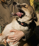 Сонячний промінчик Нюхлер з м. Київ