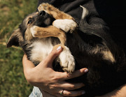 Чарівна дівчинка Лея з м. Київ