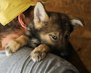 Поєднання різних кольорів це Пеммі з м. Київ