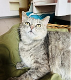 Справжня моделька Стефа з м. Київ