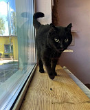 Чарівна сніжинка - Сніжка з м. Київ