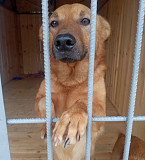 Лео кавовий драйв з м. Київ