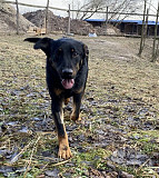 Непосидючий дослідник Норіс з м. Київ