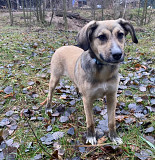 Грайлива і дуже позитивна Белла з м. Київ