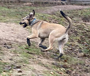 Грайлива і дуже позитивна Белла з м. Київ