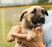 Веселий і життєрадісний Клайд from Kiev